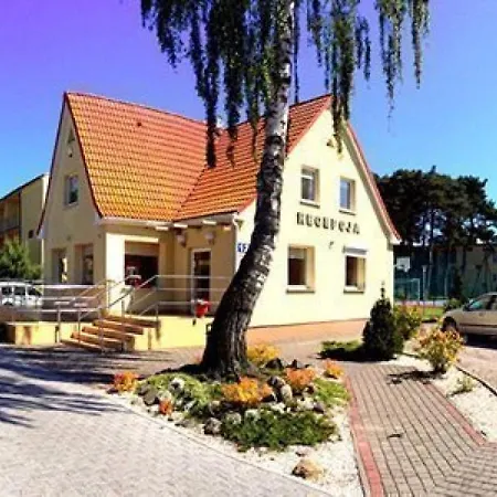 Sus * Mrzeżyno